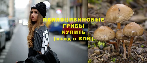 винт Нязепетровск