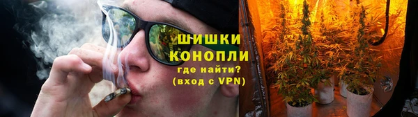 прущая мука Няндома