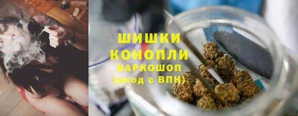 прущая мука Няндома