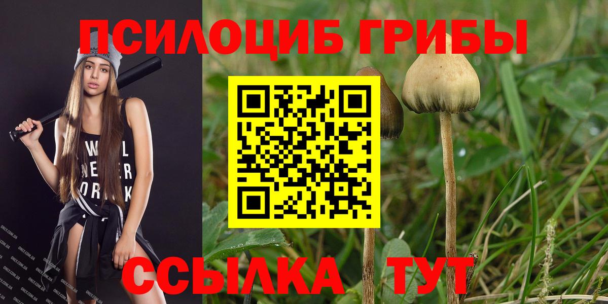 Псилоцибиновые грибы MAGIC MUSHROOMS  Вход с VPN  Северск 