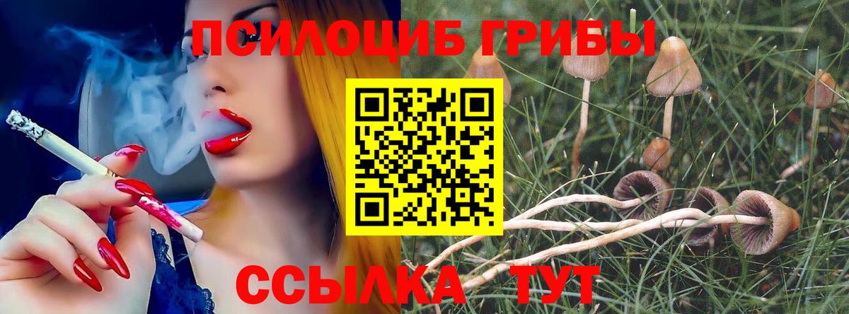 Галлюциногенные грибы GOLDEN TEACHER Северск