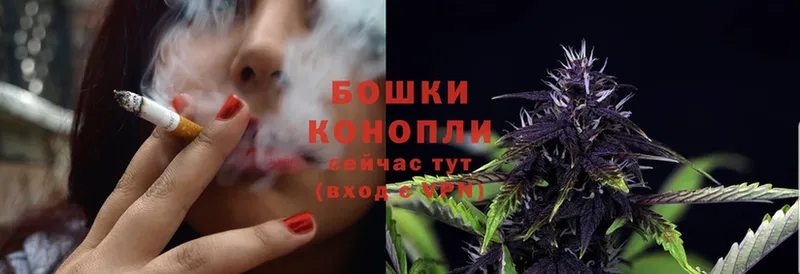 Марихуана THC 21%  Северск 